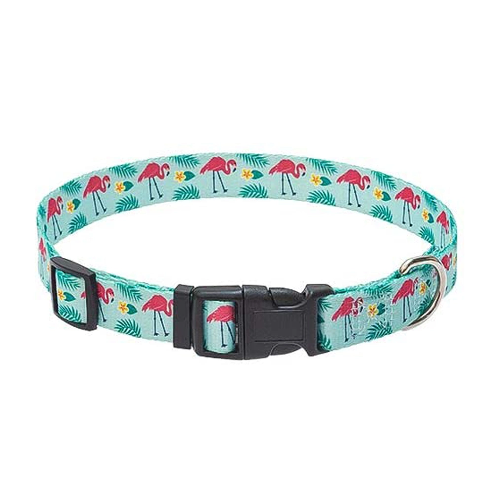 Stylish Eco-Friendly rPET Recycled Webbing Sublimation Printing Dog Collar Harness