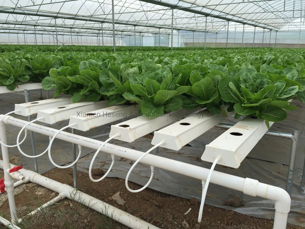 Commercial Hot Sale Hydroponic Channel System in Greenhouse and Farm Nft Hydroponics System with Hydroponics Equipment for Lettuce/Celery/Greens Cultivation