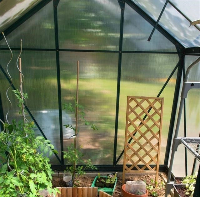 WMGH058 Tunnel Greenhouse Portable Green house PVC Transparent Garden Flower Greenhouses