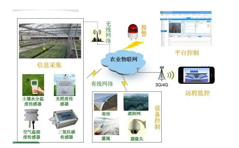 Agricultural/Commercial /Multi- Span Film/Po/PE/Plastic Green House for Tomatoes/Cucumber/Peppers/Strawberry with Hydroponic System/Drip Irrigation