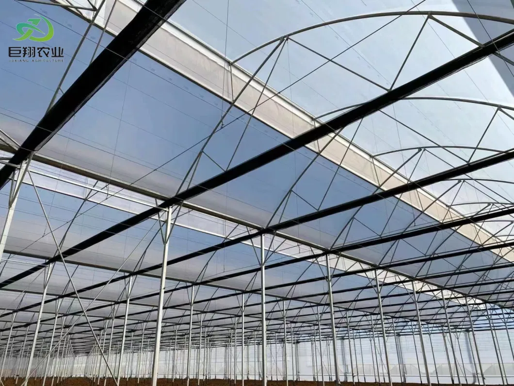 Agricultural/Commercial /Multi- Span Film/Po/PE/Plastic Green House for Tomatoes/Cucumber/Peppers/Strawberry with Hydroponic System/Drip Irrigation