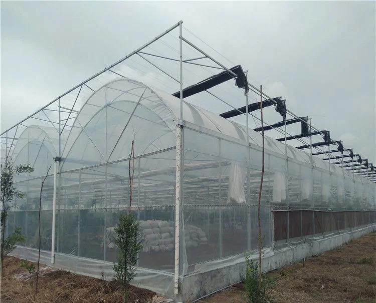 Agricultural/Commercial /Multi- Span Film/Po/PE/Plastic Green House for Tomatoes/Cucumber/Peppers/Strawberry with Hydroponic System/Drip Irrigation