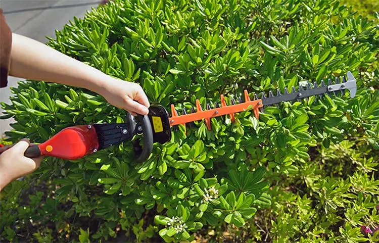 Anti-Blocking Function DC 21V Cordless Lithium Battery V Powered Hedge Trimmer TM-Ht601li