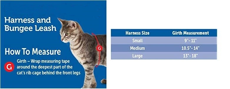 Kitty Harness and Bungee Leash, Harness for Cat
