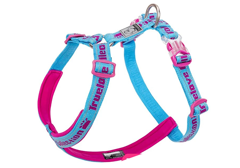 Pet Walking Kit Dog Adjustable Pet Collar Leash Set Chest Strap Teddy Chain Dog Leash