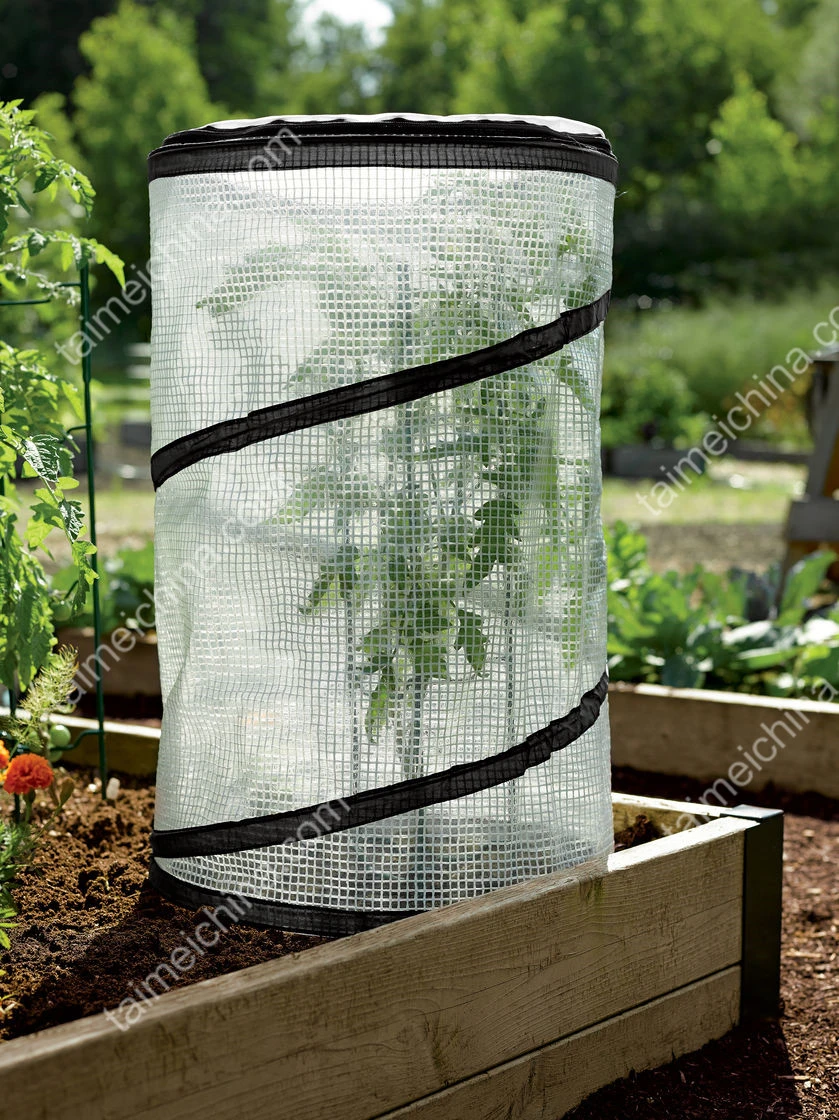 Pop-up Tomato Plant Protector Mini Greenhouse