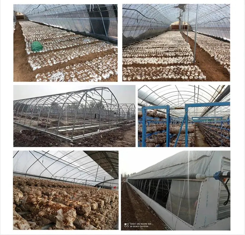 Satrise PVC Climate Controller for Greenhouse Usage in Mushroom Growing