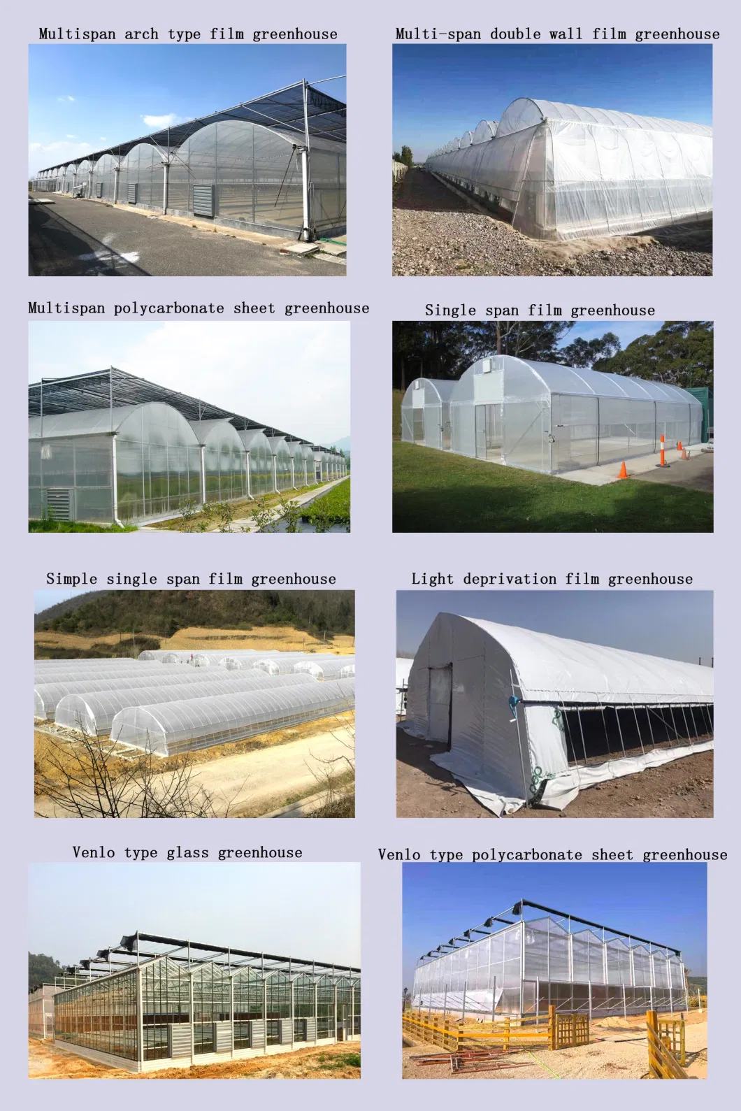 Single Span Plastic PE Film Garden Greenhouse for Agriculture