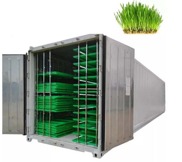 Soilless Cultivation Hydroponic Forage System