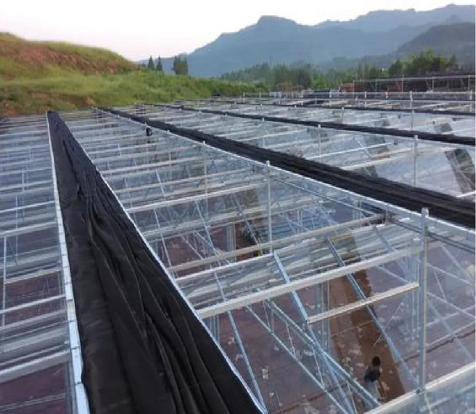 Glass Type of Venlo Greenhouse for Hydroponic Vegetables Planting