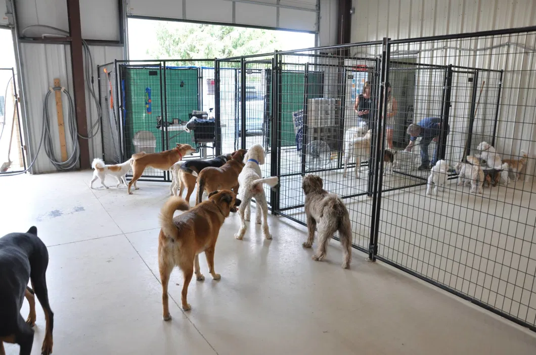 Australian Standard Large Outdoor Galvanised Welded Pet Enclosure/Cute Dog Kennel