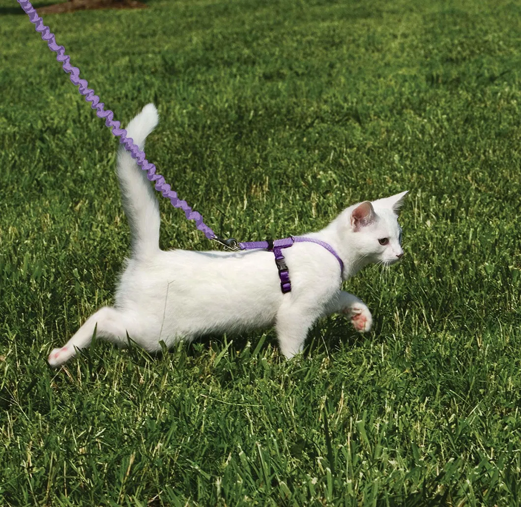 Kitty Harness and Bungee Leash, Harness for Cat