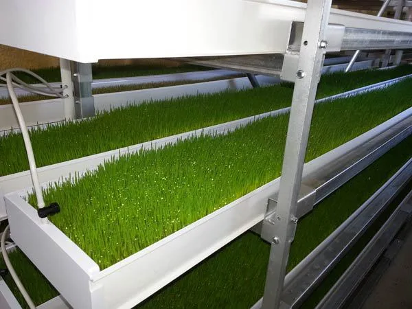 Hydroponic Plastic Fodder Tray System Microgreen Grass Cultivation Indoor Hydroponic PVC Gutter System