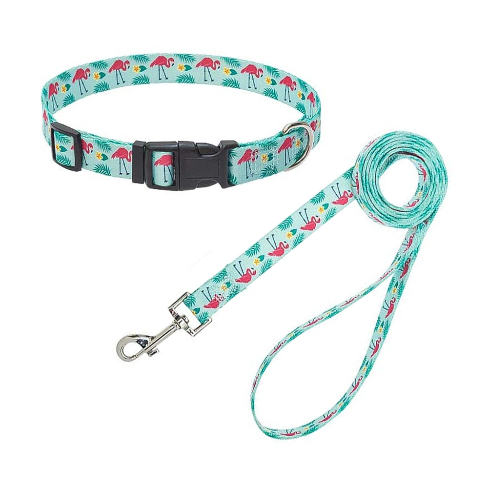 Stylish Eco-Friendly rPET Recycled Webbing Sublimation Printing Dog Collar Harness