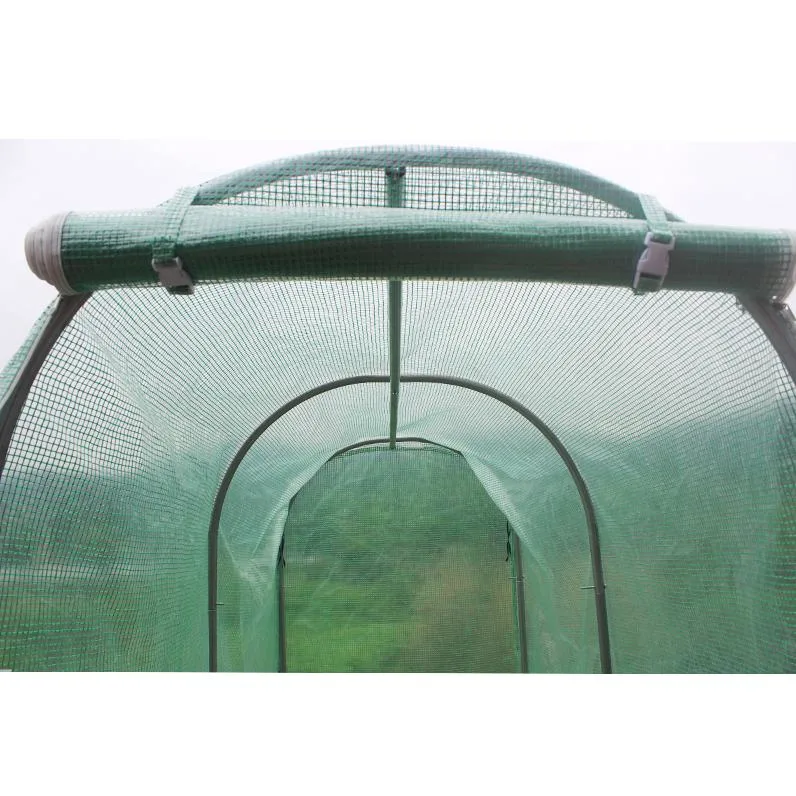 Hot Sale Tomato Household Small Portable PE Covering Garden Greenhouse