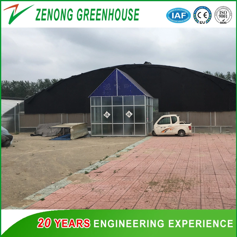 Factory Supply Different Types of Single Span Plastic Film Greenhouse for Vegetables