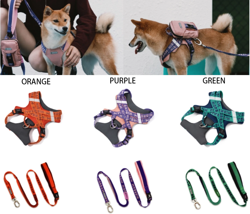 Integrated Rope Anti Dashing Wear Resistant Dog Lead Leash with Adjustable Buckle