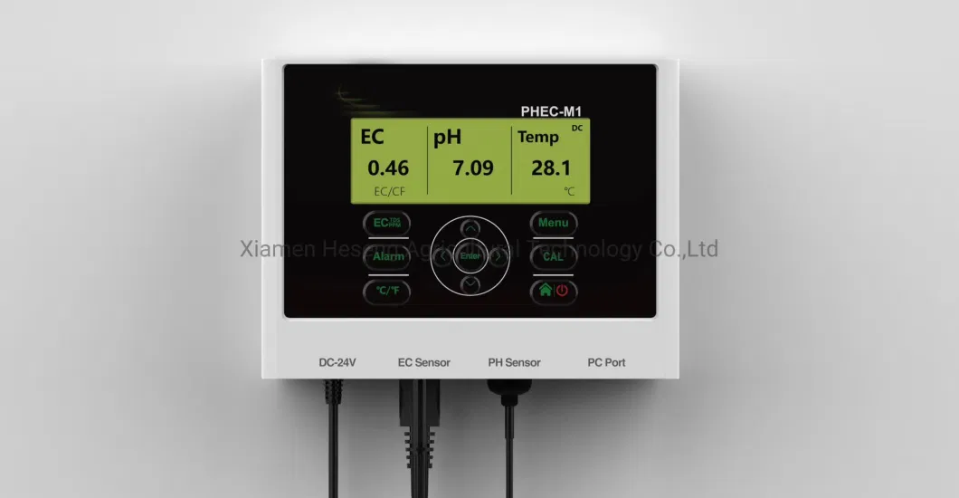 Commercial Hot Sale Hydroponic Channel System in Greenhouse and Farm Nft Hydroponics System with Hydroponics Equipment for Lettuce/Celery/Greens Cultivation