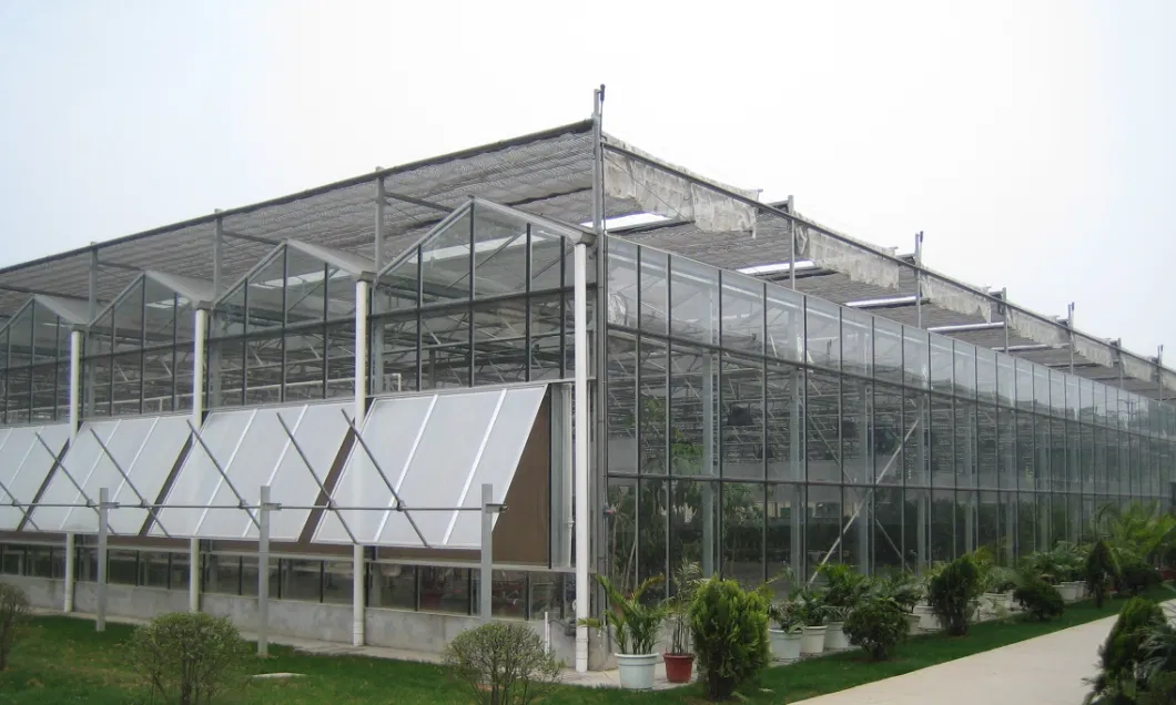 Factory Supply Net Covered Multi-Tunnel Greenhouse