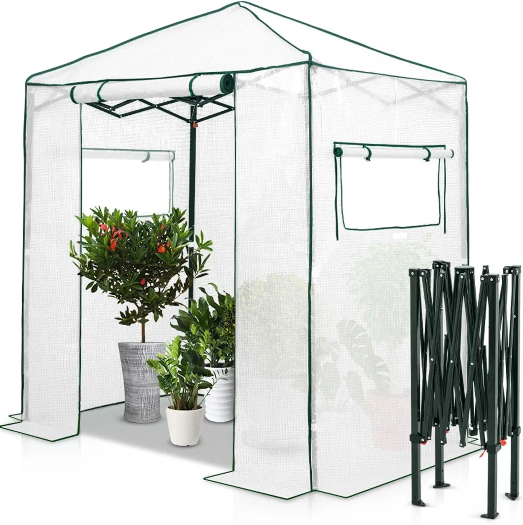 6X4 Portable Walk-in Greenhouse Instant Pop-up Fast Setup Indoor Outdoor Plant Gardening Green House Canopy