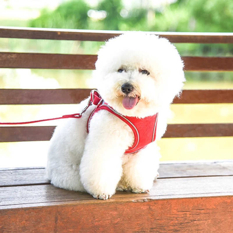 Wholesale Step in Reversible Pet Harness Set, Luxury Designer Fashion Designer Dog Collar Harness