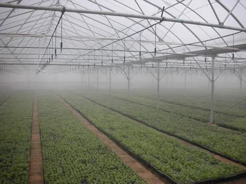 Factory Supply Net Covered Multi-Tunnel Greenhouse