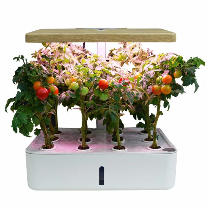 DIY Soilless Cultivation Grow Box Hydroponics System for Indoor