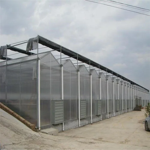 Commercial Farm/Polyethylene Arbonate Sheet Green House for Vegetables/Garden/Fruit Tomato/Cucumber/Lettuce/Pepper/Bell Pepper/Mushroom/Cherry/Tomato