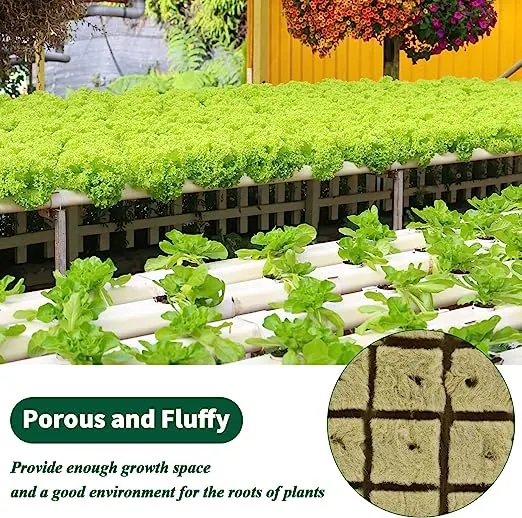 6 Inch Indoor Hydroponic Garden Rock Wool Cubes for Medical Planting