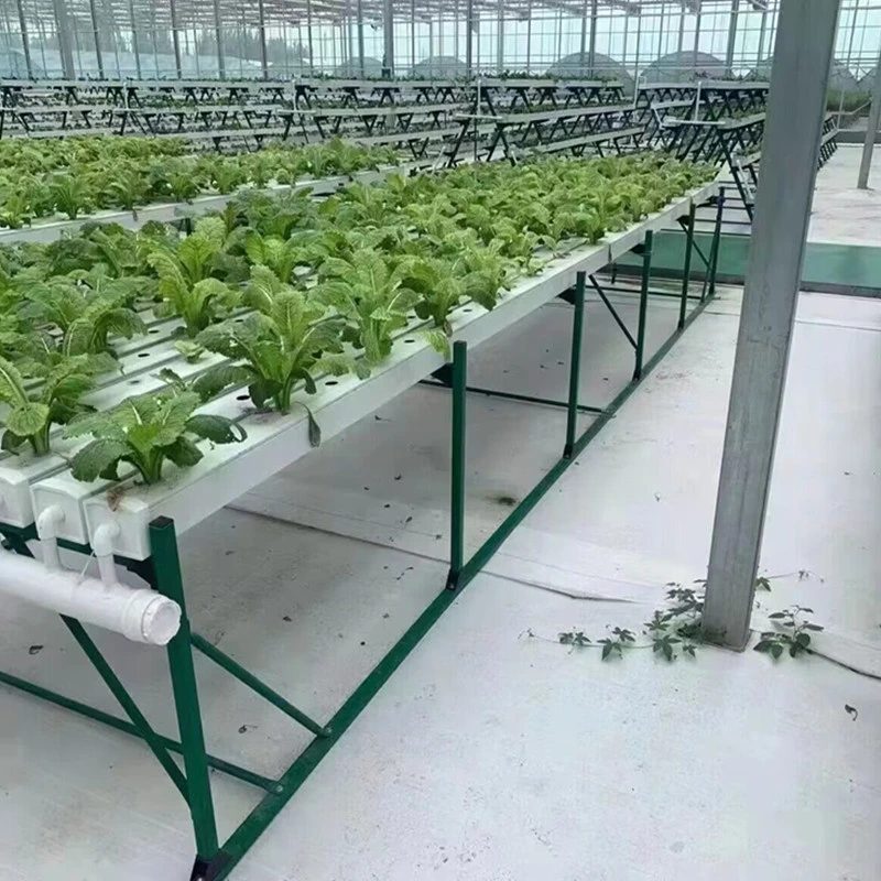 Family Gardening PVC Soilless Cultivation Hydroponic System