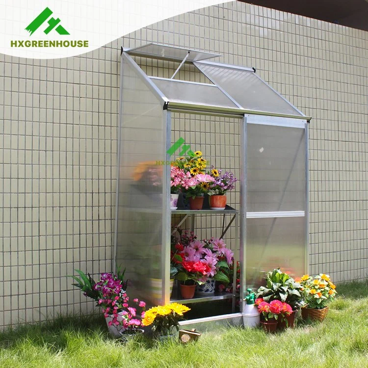 Hot Sale Garden House/Mini Lean-to Greenhouse