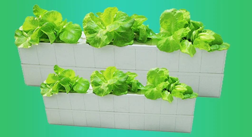 DIY Soilless Cultivation Grow Box Hydroponics System for Indoor