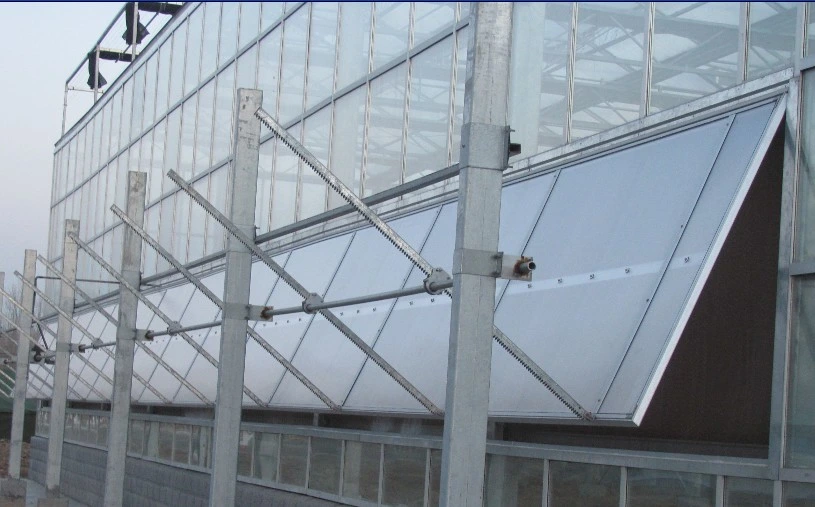 Venlo Hollow Double Tempered Glass Greenhouse with Hydroponics Growing System for Vegetables/ Flowers/ Tomato/ Farm/ Garden/ Eco Restaurant / Agriculture