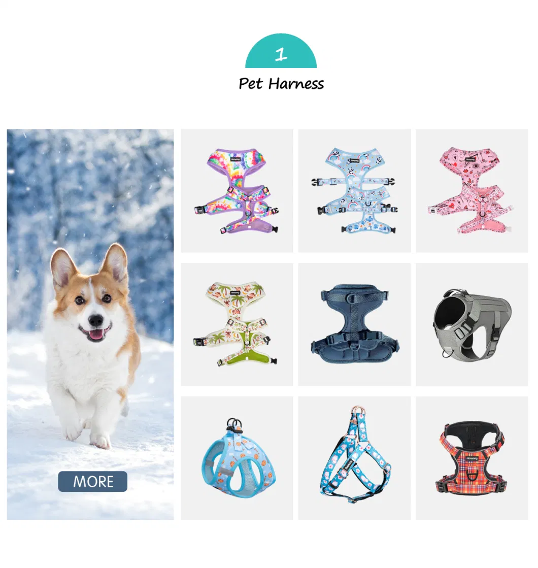 Hanyang Instgram Most Popular Multicolor PVC Rubber Coated Waterproof Dog Accessories Pet Dog Leash