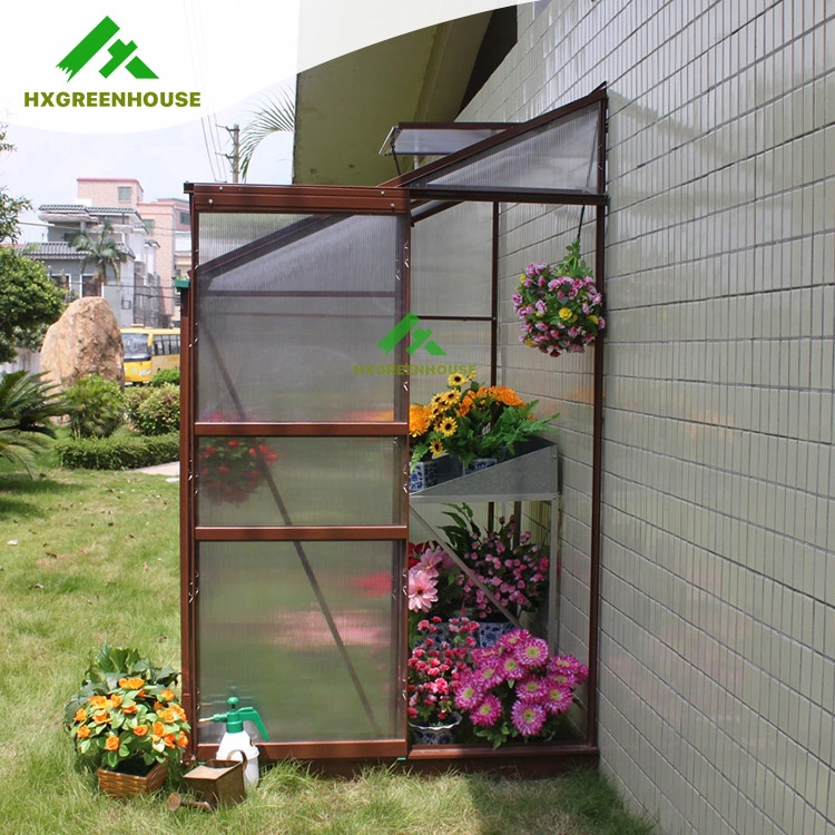 Hot Sale Garden House/Mini Lean-to Greenhouse