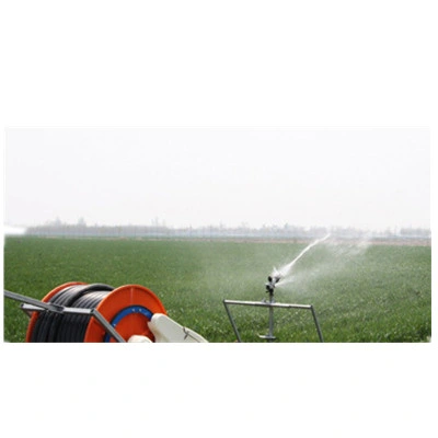 Hot Sale Fully Automatic Small Farm Hose Reel Irrigation System