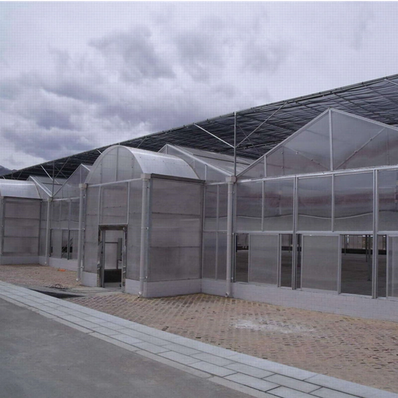 Greenhouse Supplies with Cocopeat Planting System for Poultry and Agriculture