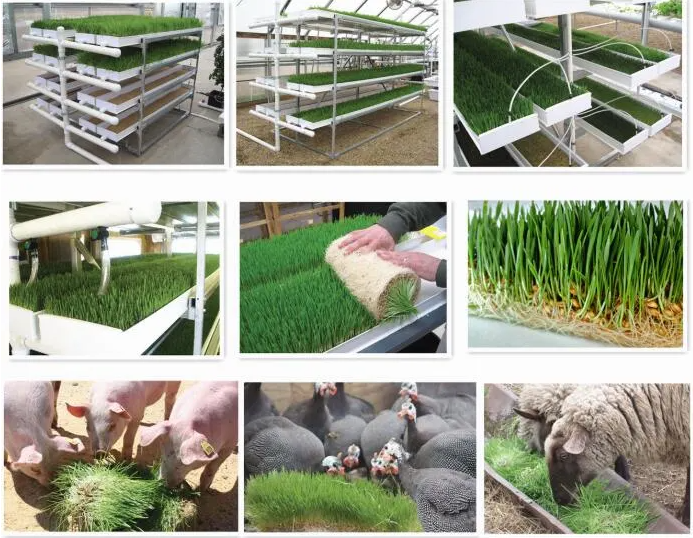 Hydroponic Plastic Fodder Tray System Microgreen Grass Cultivation Indoor Hydroponic PVC Gutter System