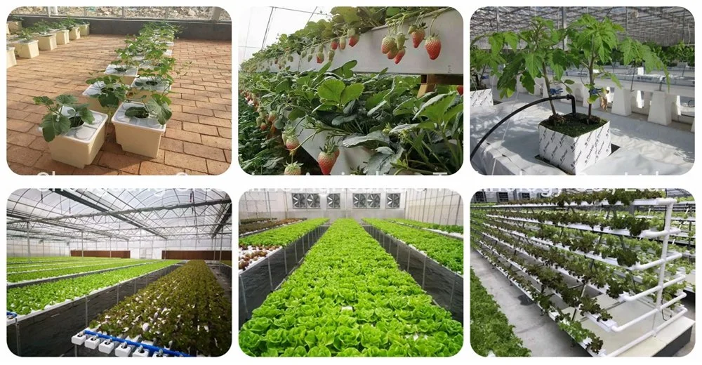 Agriculture Productive Small Plastic Indoor Greenhouse Garden with Hydroponic Equipment System