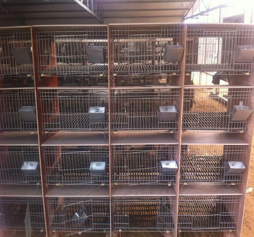 Good Quality Convenient Enclosed Pet Rabbit Cage for Rabbit Crate Outdoor Cage