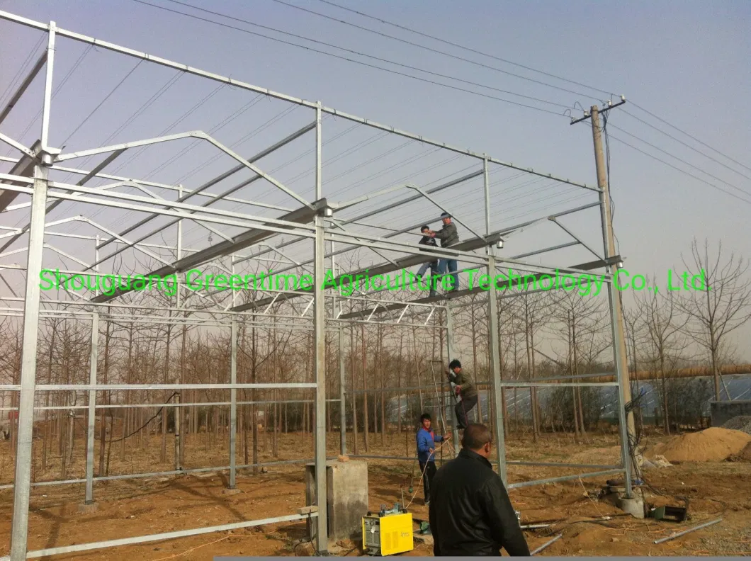 Cheap/Agriculture/Farm/Polycarbonate/Glass/Multi-Span Greenhouse with Irrigation Hydroponic System for Strawberry/Vegetables/Flowers/Tomato/Pepper