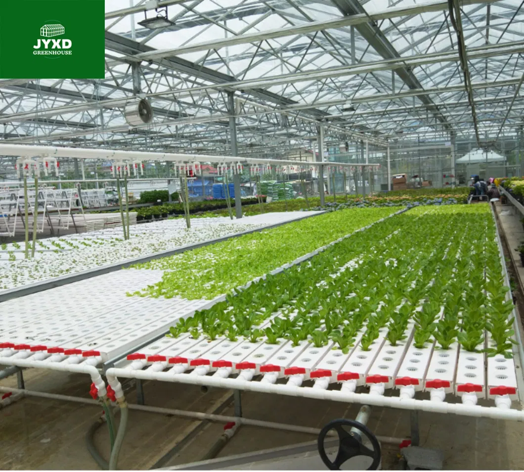Soilless Cultivation Hydroponic Growing System for Greenhouse