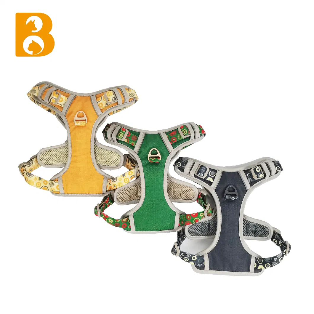 Bettering Matching Same Sports Style Breathable High Quality Dog Collar and Dog Harness