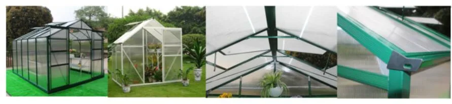 China Greenhouse Supplies for Outdoor Furniture Hobby Greenhouse Rdg0812-4mm