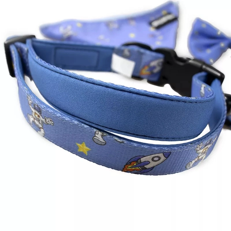 Custom Design Harness Collar Leash with PVC Rubber Logo, Dog Harness