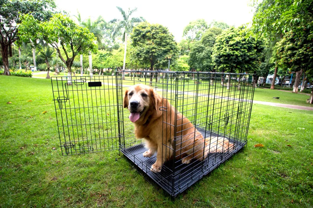 Dwb10001 Wire Pet Cages House for Dogs and Cats Foldable Iron Carriers Animal Cage Crate Boarding Kennels Collapsible Places