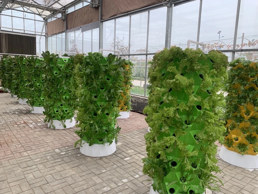 Automated Aeroponics Indoor Tower Garden with LED Grow Lights