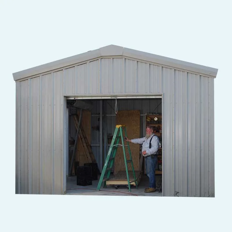 Professional Prefab Steel Structure 10FT X 12FT Storage Garden Shed