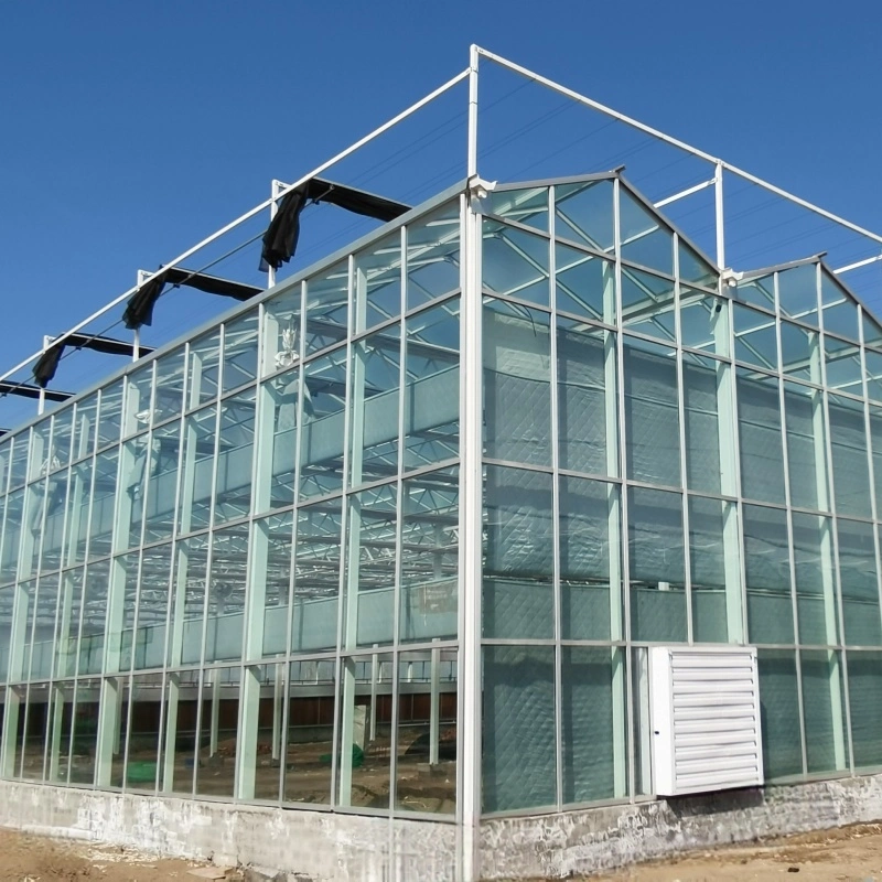 Glass Type of Venlo Greenhouse for Hydroponic Vegetables Planting