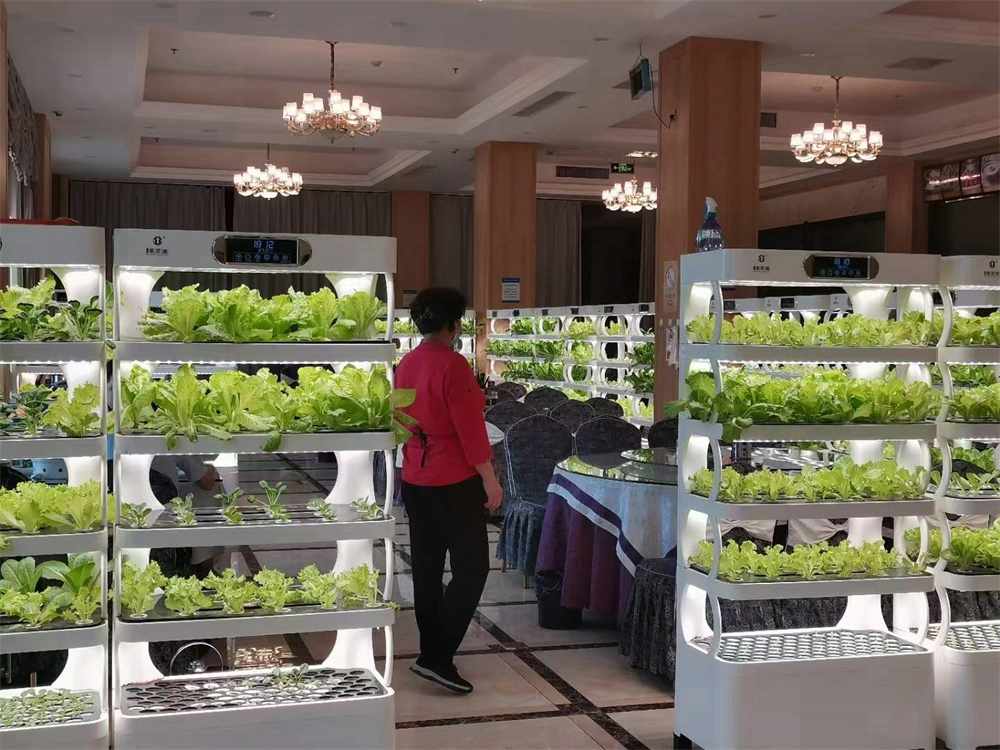 Indoor Garden Hydroponics Grow Systems/Soilless Cultivation with LED Light